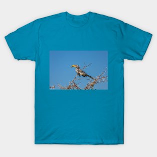 Namibia. Etosha National Park. Southern Yellow-Billed Hornbill. T-Shirt